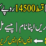 BISP 14500 Payment Status